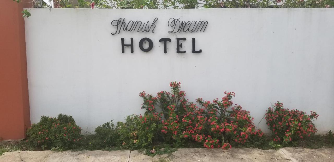 Spanish Dream Hotel 金斯敦 外观 照片