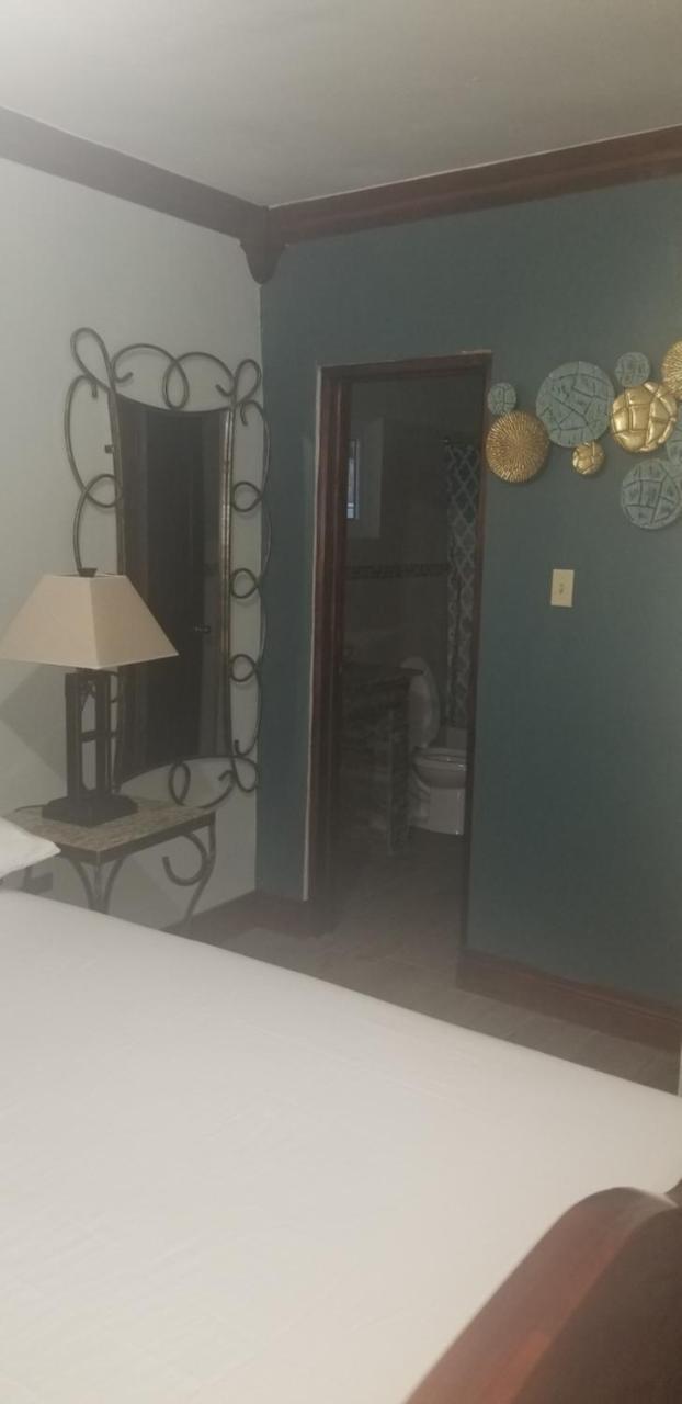 Spanish Dream Hotel 金斯敦 外观 照片